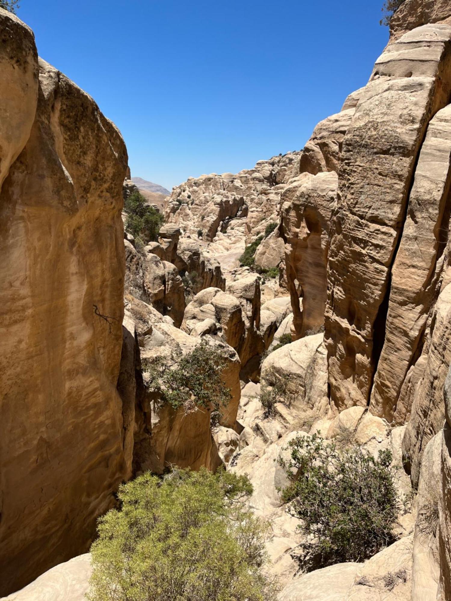 Al-Nawatef Eco Camp- Dana Nature Reserve Екстер'єр фото